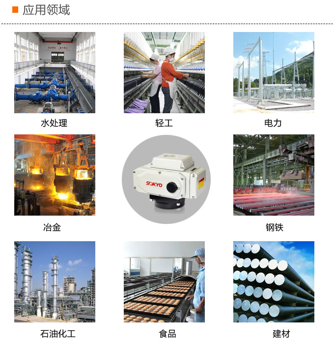 電動執行器,電動頭,YTDG-RS100電動執行機構應用領域