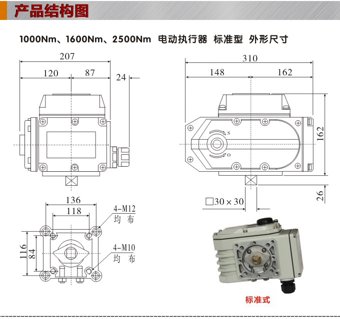 電動執(zhí)行器,電動頭,YTDG-RS1000電動執(zhí)行機構結構圖,標準式