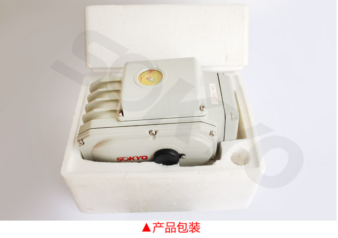 電動執(zhí)行器,電動頭,YTDG-RS1000電動執(zhí)行機構產(chǎn)品包裝