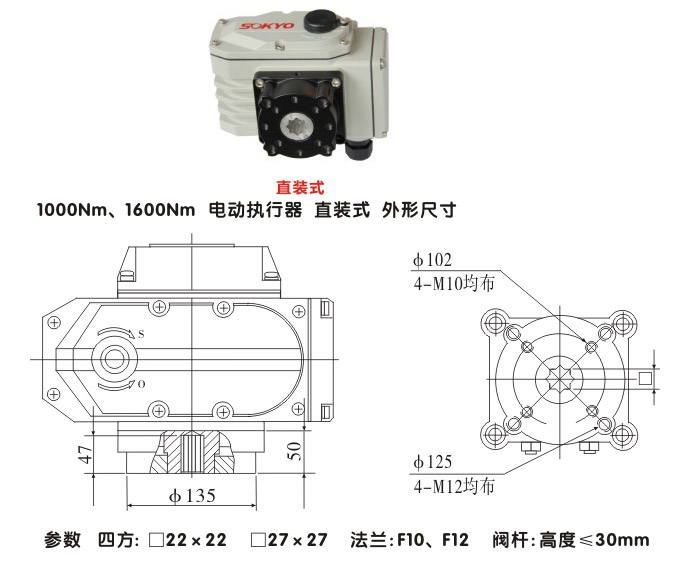 電動執(zhí)行器,電動頭,YTDG-RS1000電動執(zhí)行機構結構圖,直裝式