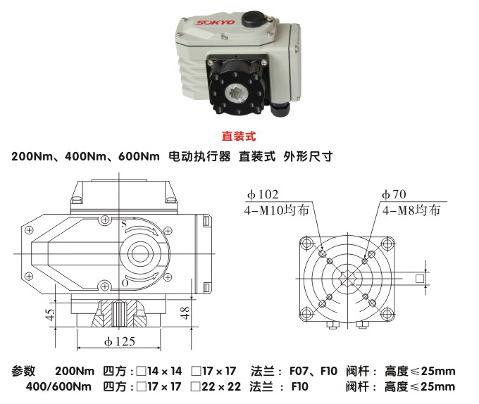 電動執行機構,YTDG-RKB200電動執行器,電動頭結構圖,直裝式