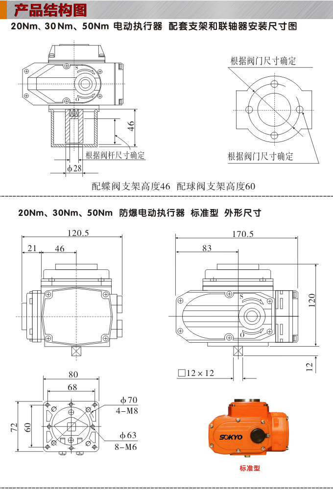 防爆電動頭,YTEx-RKB50防爆電動執行器結構圖,標準式