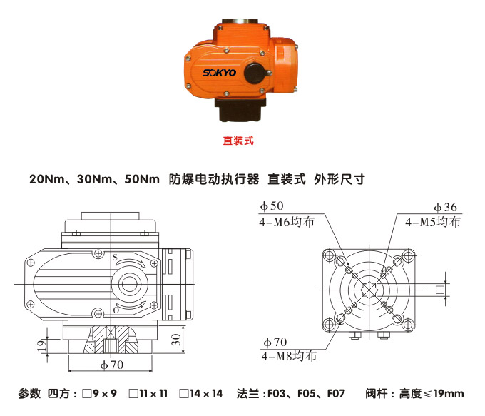 防爆電動頭,YTEx-RKB50防爆電動執行器結構圖,直裝式