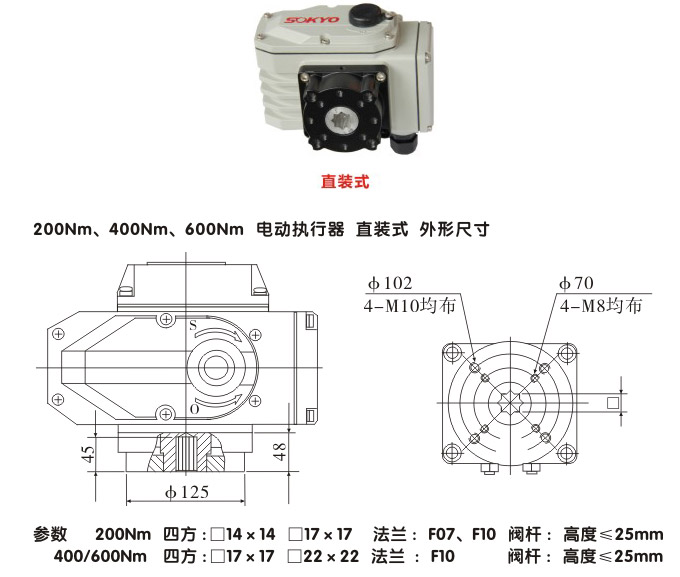 智能電動執(zhí)行器,YTDZ-RS200智能電動執(zhí)行機(jī)構(gòu)結(jié)構(gòu)圖,直裝式