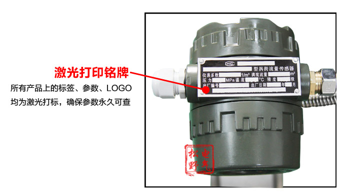 渦街流量計,YTFW插入式渦街流量計細節圖2