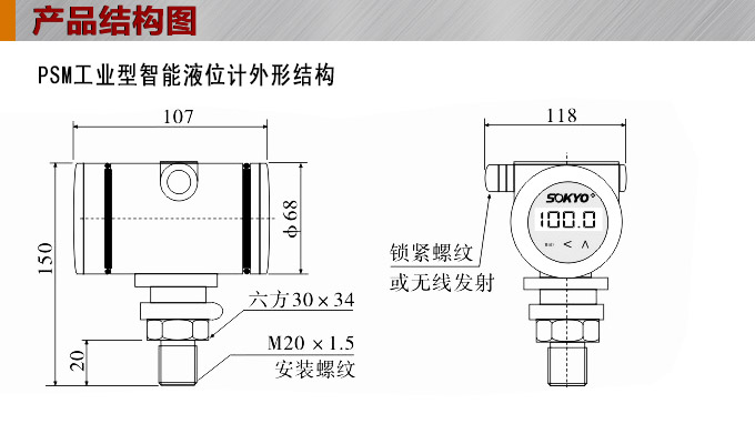 智能液位變送器,RS485智能液位計結構圖