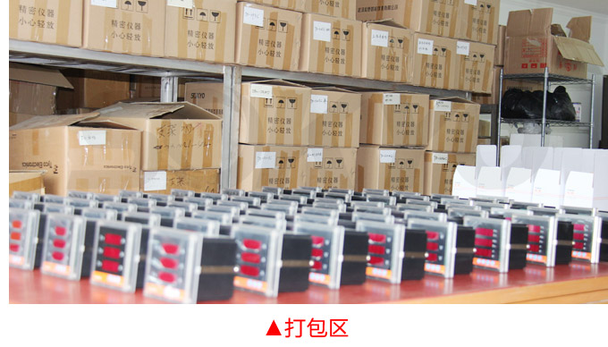 數字調節儀,TP9數字程序調節儀,智能PID調節器物流包裝