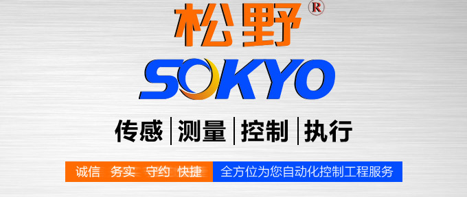 數字調節儀,TP9數字程序調節儀,智能PID調節器品牌模塊